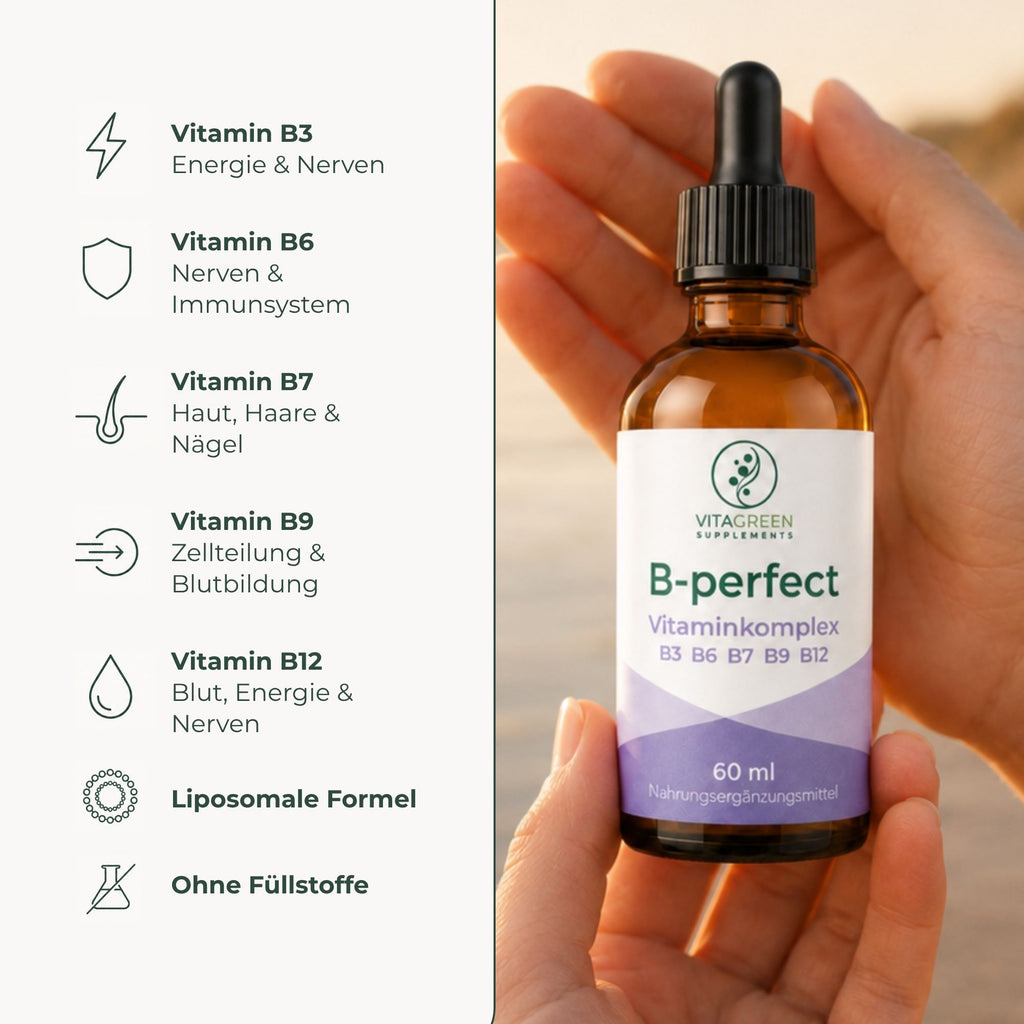 B-perfect Vitamin-B-Komplex – Produktvorteile im Überblick