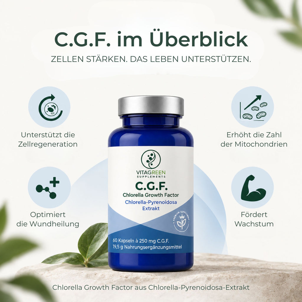 C.G.F. Extrakt aus Chlorella Pyrenoidosa