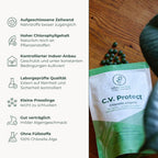 C.V. Protect Chlorella vulgaris – Produktvorteile im Überblick