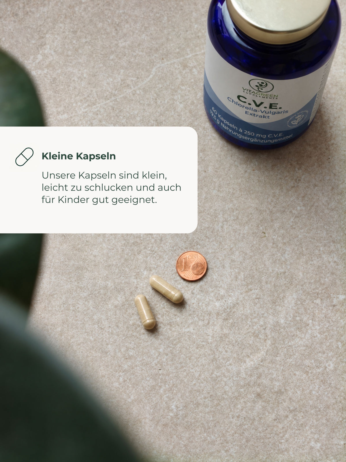 C.V.E. Extrakt aus Chlorella Vulgaris