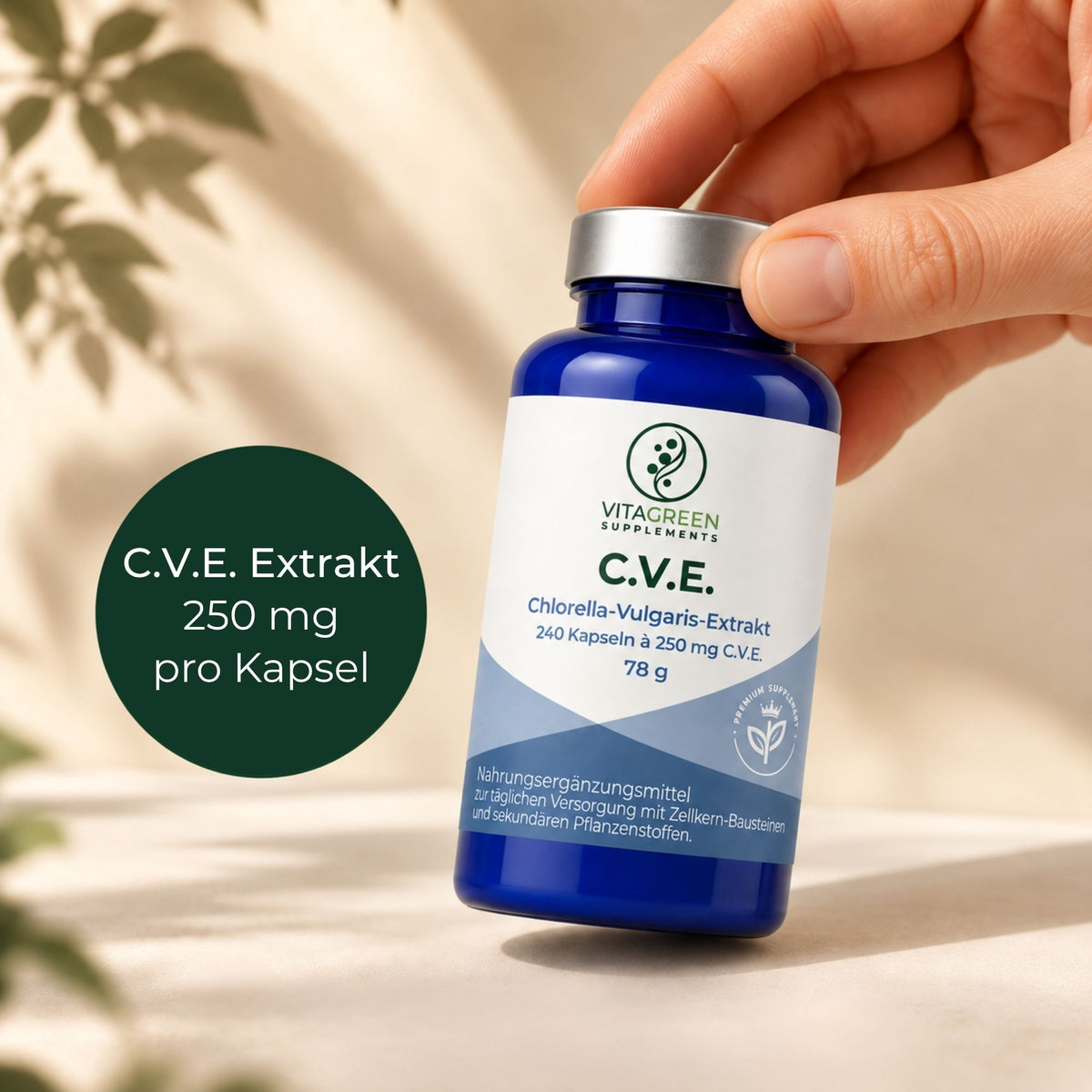C.V.E. Extrakt aus Chlorella Vulgaris