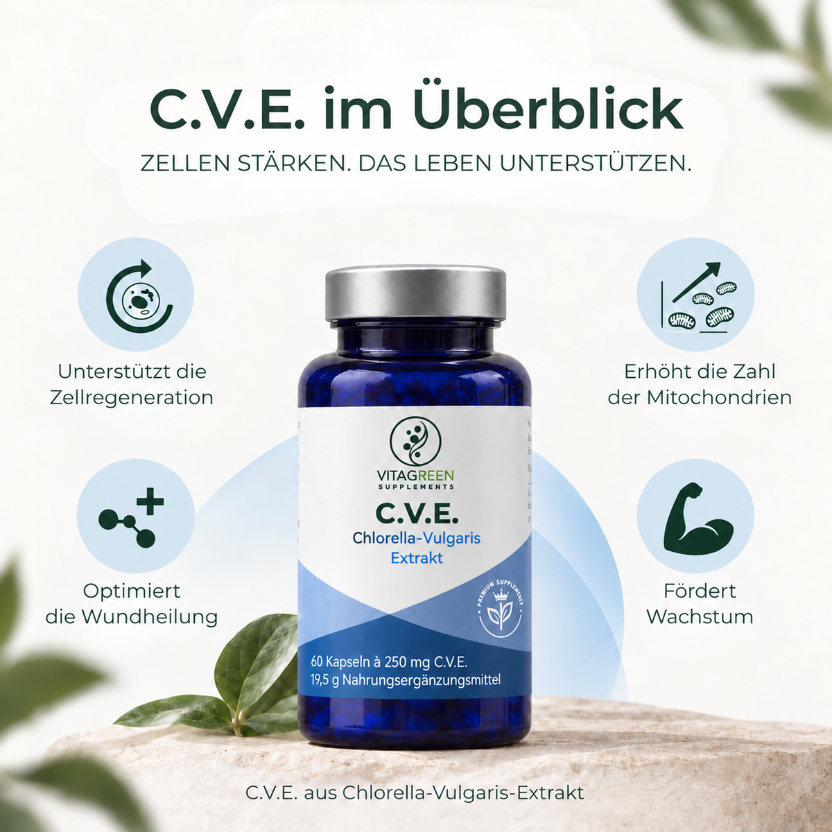 C.V.E. Extrakt aus Chlorella Vulgaris