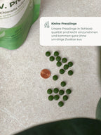 Chlorella VULGARIS (C.V.Protect)