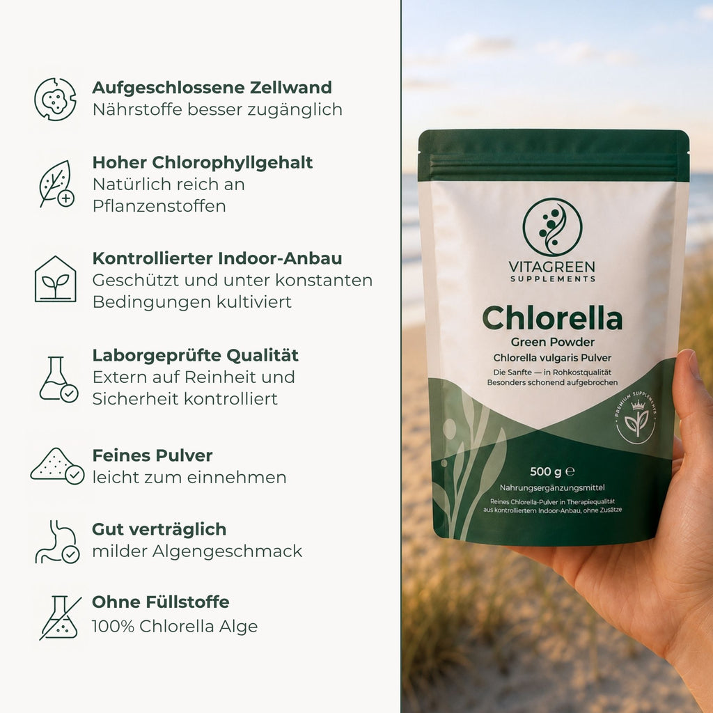 Chlorella Green Powder – Produktvorteile im Überblick