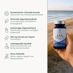 C.G.F. Chlorella-Extrakt - Produktvorteile im Ueberblick