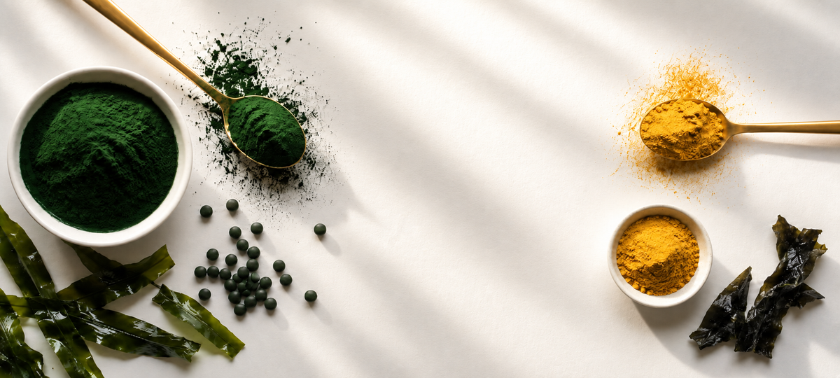 Chlorella-Pulver und Presslinge in einer Schale, daneben goldenes Umami-Gold-Pulver auf einem Löffel