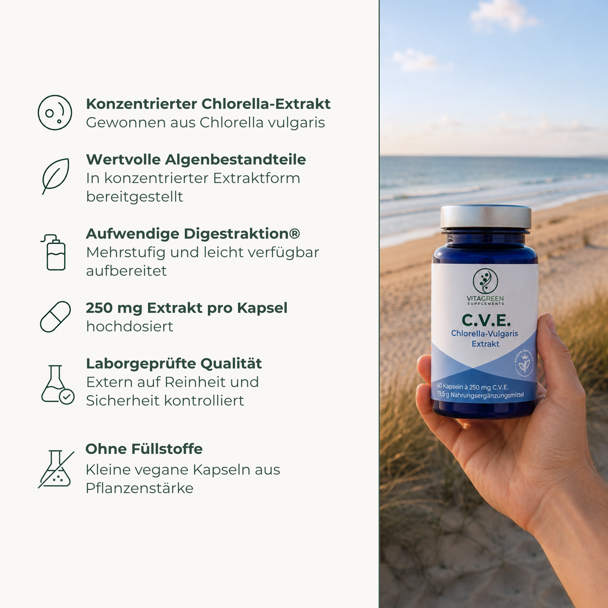 C.V.E. Chlorella-Vulgaris-Extrakt - Produktvorteile im Ueberblick