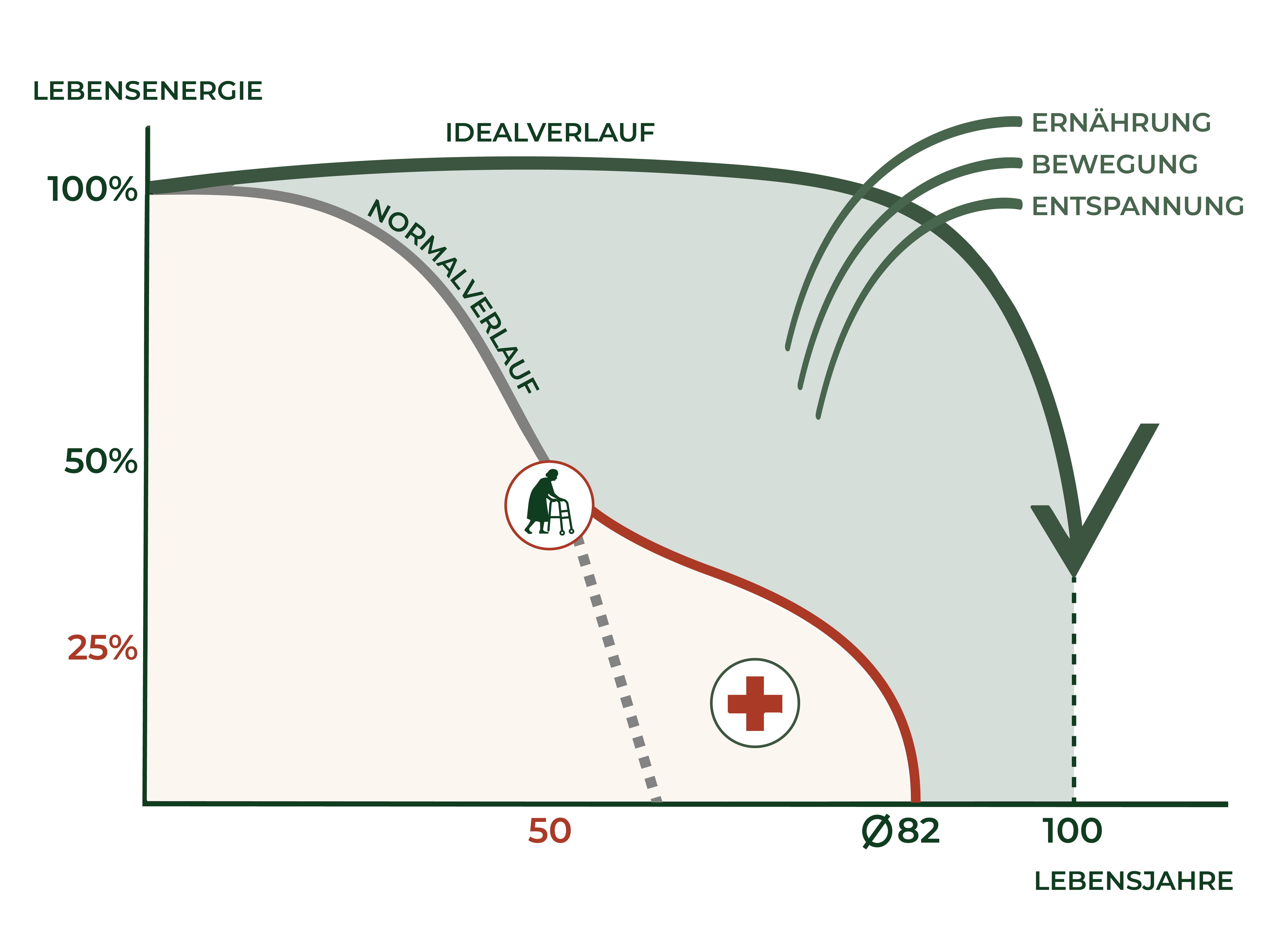 Grafik Lebenslinie: Lebensenergie über die Lebensjahre. Der Idealverlauf bleibt lange nahe 100 Prozent, der Normalverlauf fällt ab etwa 50 Jahren deutlich ab. Ernährung, Bewegung und Entspannung sind als Einflüsse auf den Verlauf eingezeichnet.